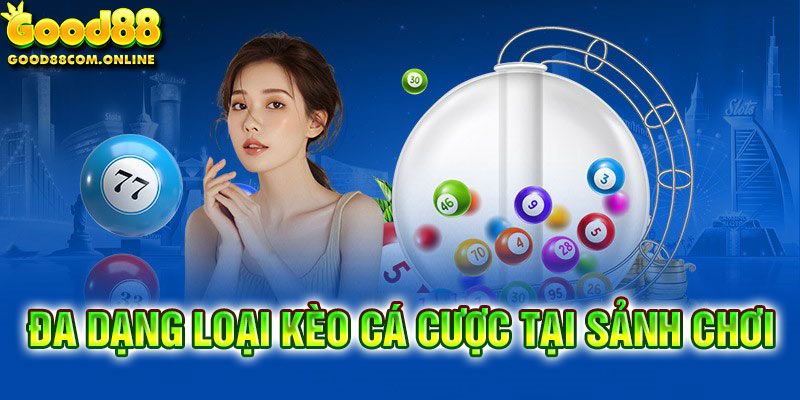 Nhà cái cung cấp nhiều thể loại cá cược cho người chơi